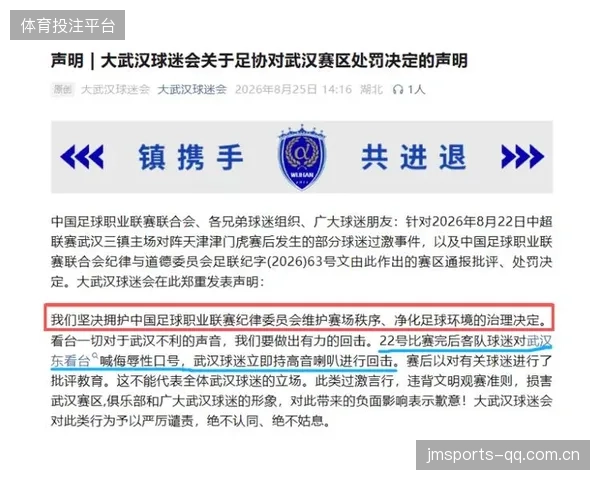 足协新规越界球迷必重罚，确保赛场秩序与安全